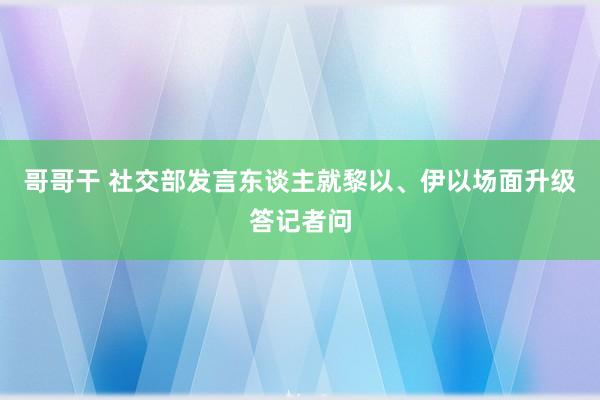 哥哥干 社交部发言东谈主就黎以、伊以场面升级答记者问