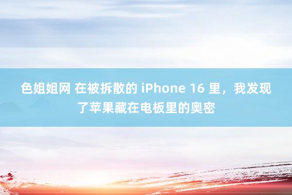 色姐姐网 在被拆散的 iPhone 16 里，我发现了苹果藏在电板里的奥密