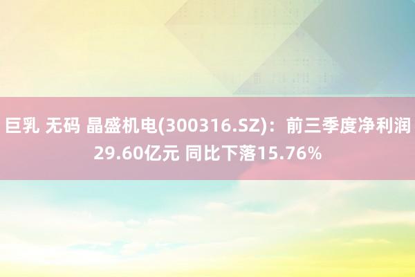 巨乳 无码 晶盛机电(300316.SZ)：前三季度净利润29.60亿元 同比下落15.76%