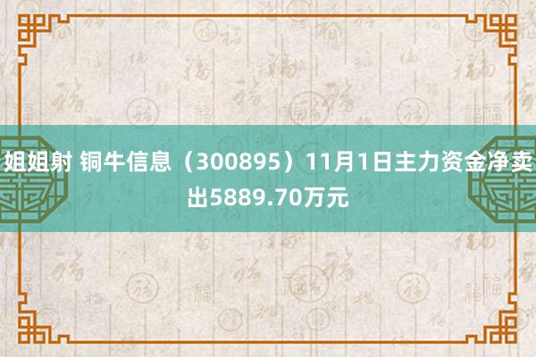 姐姐射 铜牛信息（300895）11月1日主力资金净卖出5889.70万元