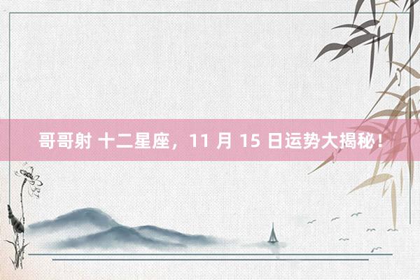 哥哥射 十二星座，11 月 15 日运势大揭秘！