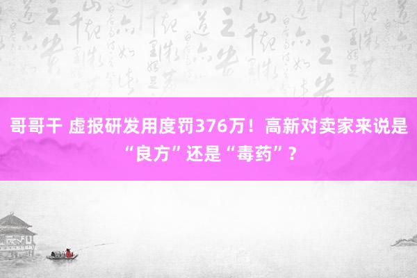 哥哥干 虚报研发用度罚376万！高新对卖家来说是“良方”还是“毒药”？