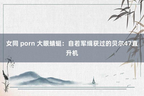 女同 porn 大眼蜻蜓：自若军缉获过的贝尔47直升机