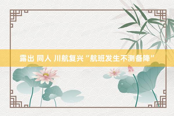 露出 同人 川航复兴“航班发生不测备降”