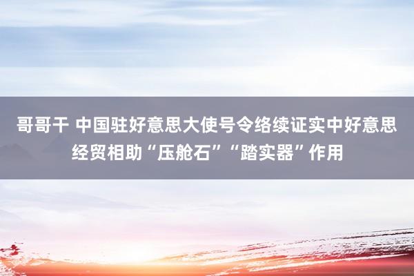 哥哥干 中国驻好意思大使号令络续证实中好意思经贸相助“压舱石”“踏实器”作用