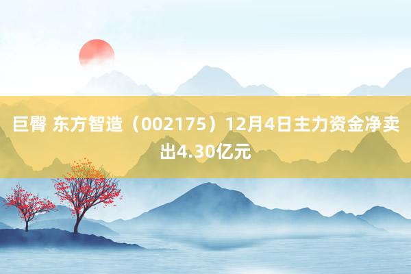巨臀 东方智造（002175）12月4日主力资金净卖出4.30亿元