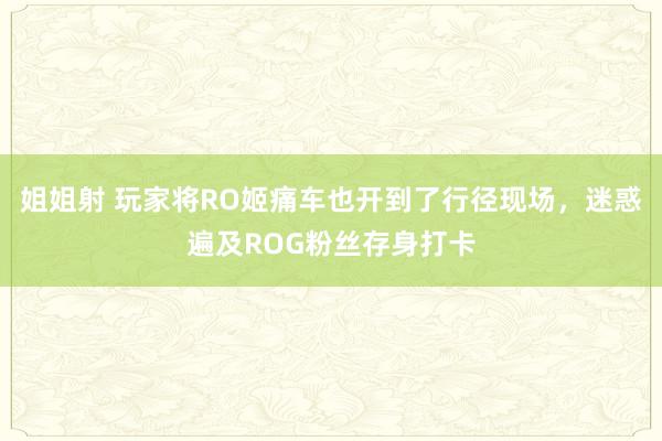姐姐射 玩家将RO姬痛车也开到了行径现场，迷惑遍及ROG粉丝存身打卡
