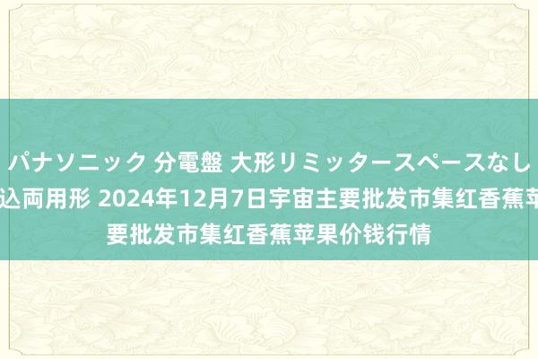 パナソニック 分電盤 大形リミッタースペースなし 露出・半埋込両用形 2024年12月7日宇宙主要批发市集红香蕉苹果价钱行情