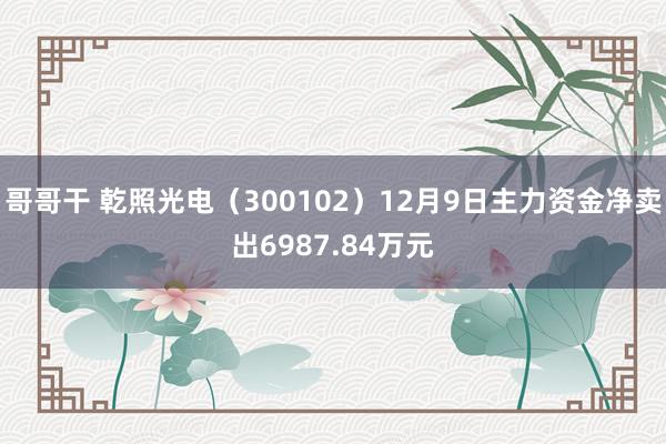 哥哥干 乾照光电（300102）12月9日主力资金净卖出6987.84万元