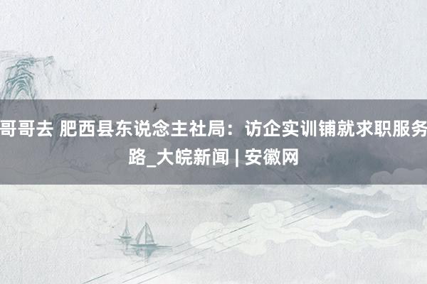 哥哥去 肥西县东说念主社局：访企实训铺就求职服务路_大皖新闻 | 安徽网