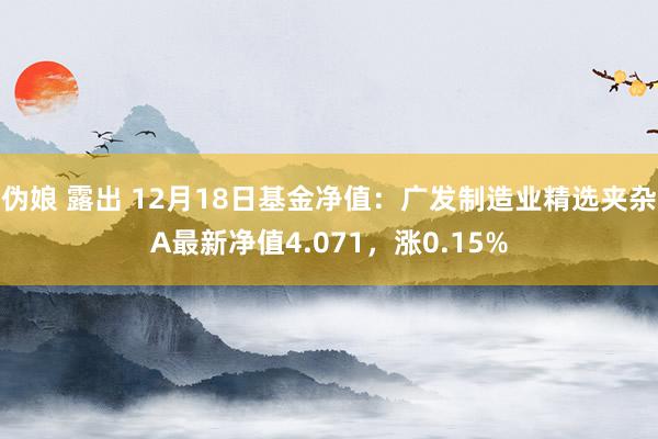 伪娘 露出 12月18日基金净值：广发制造业精选夹杂A最新净值4.071，涨0.15%