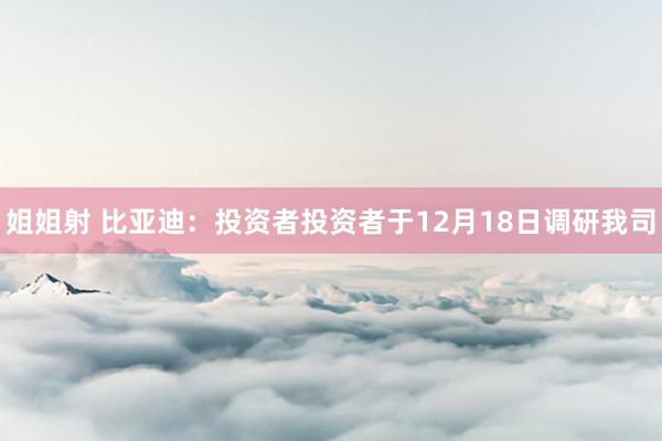 姐姐射 比亚迪：投资者投资者于12月18日调研我司