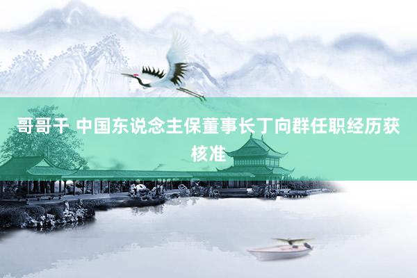哥哥干 中国东说念主保董事长丁向群任职经历获核准