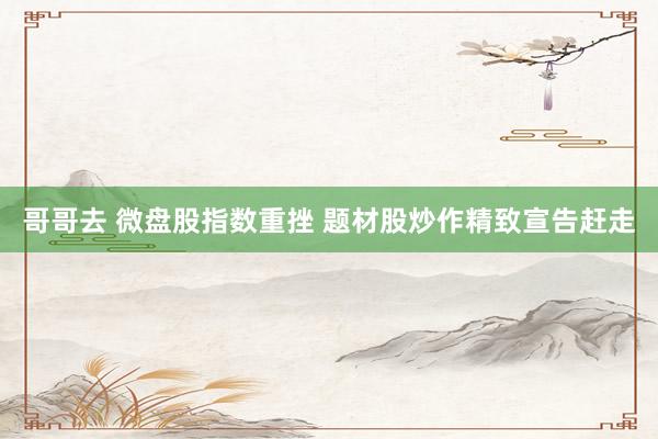 哥哥去 微盘股指数重挫 题材股炒作精致宣告赶走