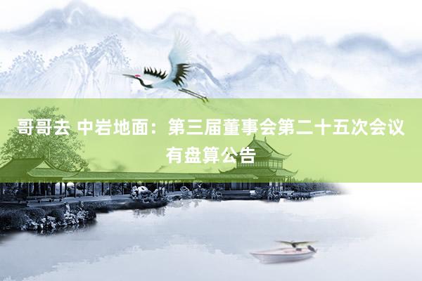 哥哥去 中岩地面：第三届董事会第二十五次会议有盘算公告