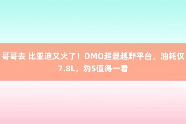 哥哥去 比亚迪又火了！DMO超混越野平台，油耗仅7.8L，豹5值得一看