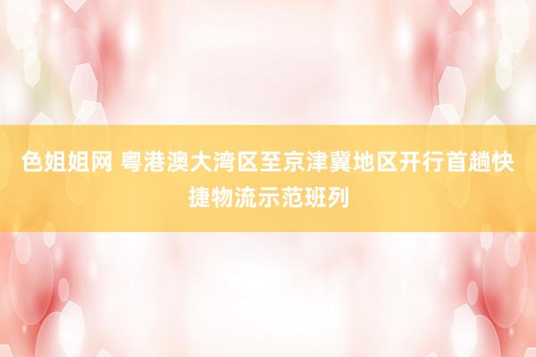 色姐姐网 粤港澳大湾区至京津冀地区开行首趟快捷物流示范班列