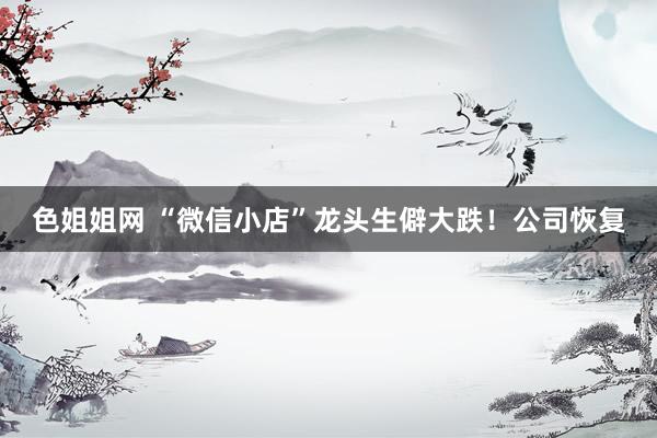 色姐姐网 “微信小店”龙头生僻大跌！公司恢复