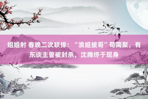 姐姐射 春晚二次联排：“浪姐披哥”苟简聚，有东谈主曾被封杀，沈腾终于现身