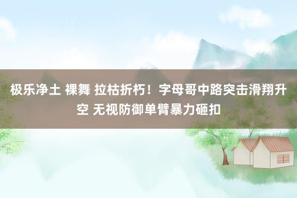 极乐净土 裸舞 拉枯折朽！字母哥中路突击滑翔升空 无视防御单臂暴力砸扣