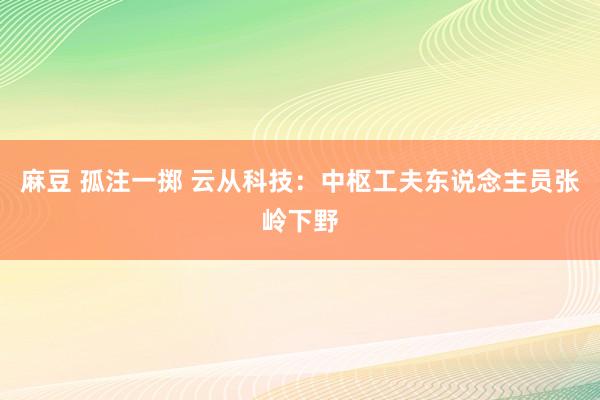 麻豆 孤注一掷 云从科技：中枢工夫东说念主员张岭下野