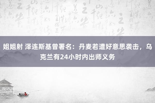 姐姐射 泽连斯基曾署名：丹麦若遭好意思袭击，乌克兰有24小时内出师义务