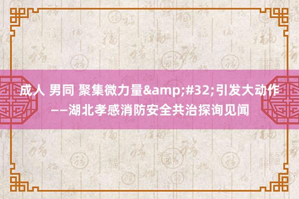 成人 男同 聚集微力量&#32;引发大动作——湖北孝感消防安全共治探询见闻