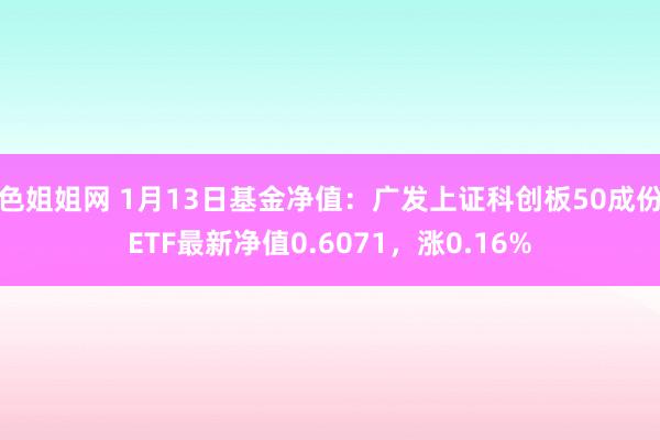 色姐姐网 1月13日基金净值：广发上证科创板50成份ETF最新净值0.6071，涨0.16%
