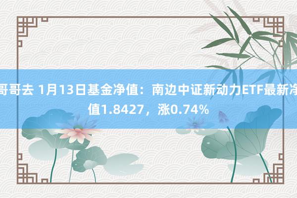 哥哥去 1月13日基金净值：南边中证新动力ETF最新净值1.8427，涨0.74%