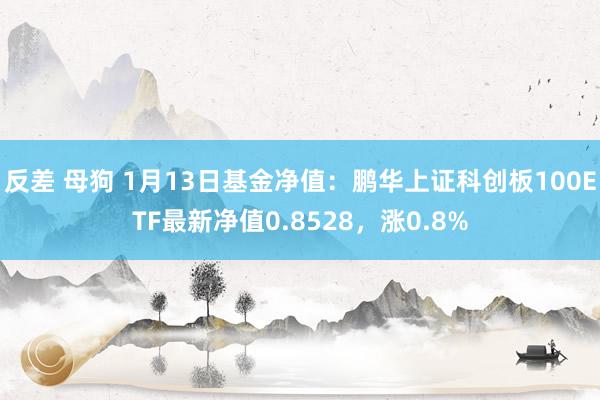 反差 母狗 1月13日基金净值：鹏华上证科创板100ETF最新净值0.8528，涨0.8%