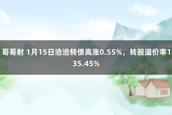 哥哥射 1月15日洽洽转债高涨0.55%，转股溢价率135.45%
