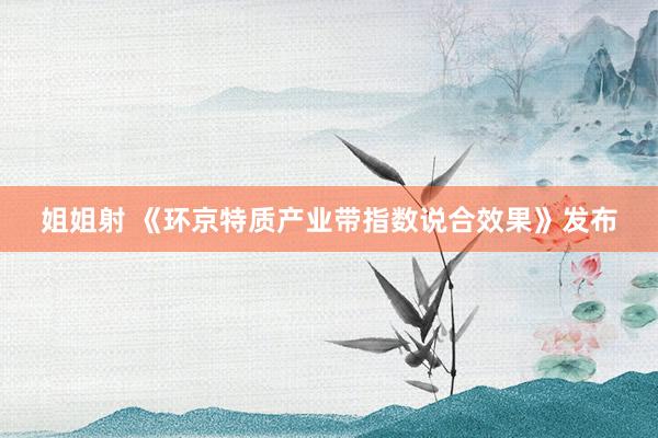 姐姐射 《环京特质产业带指数说合效果》发布