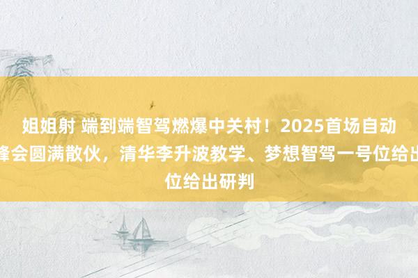 姐姐射 端到端智驾燃爆中关村！2025首场自动驾驶峰会圆满散伙，清华李升波教学、梦想智驾一号位给出研判