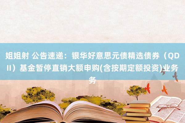 姐姐射 公告速递：银华好意思元债精选债券（QDII）基金暂停直销大额申购(含按期定额投资)业务