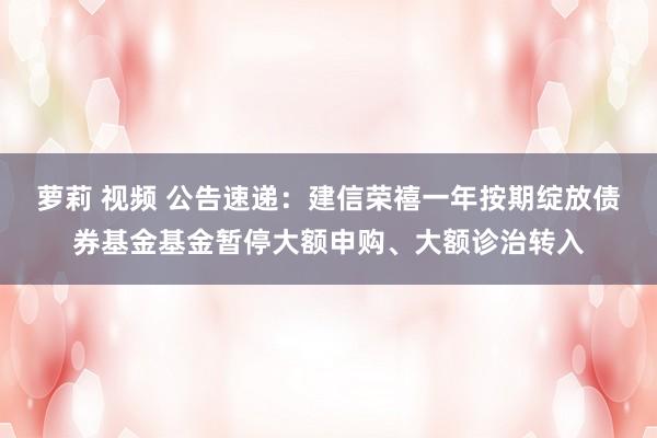 萝莉 视频 公告速递：建信荣禧一年按期绽放债券基金基金暂停大额申购、大额诊治转入