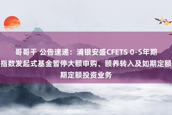 哥哥干 公告速递：浦银安盛CFETS 0-5年期央企债券指数发起式基金暂停大额申购、颐养转入及如期定额投资业务
