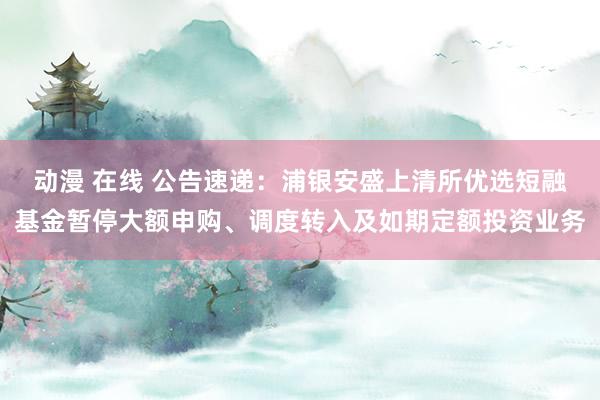 动漫 在线 公告速递：浦银安盛上清所优选短融基金暂停大额申购、调度转入及如期定额投资业务