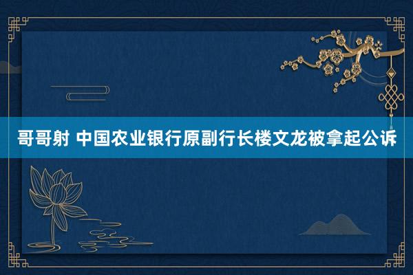 哥哥射 中国农业银行原副行长楼文龙被拿起公诉