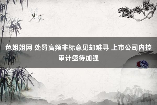 色姐姐网 处罚高频非标意见却难寻 上市公司内控审计亟待加强