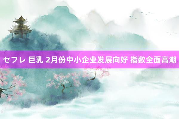 セフレ 巨乳 2月份中小企业发展向好 指数全面高潮