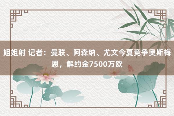 姐姐射 记者：曼联、阿森纳、尤文今夏竞争奥斯梅恩，解约金7500万欧