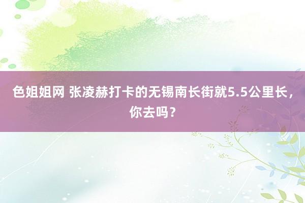色姐姐网 张凌赫打卡的无锡南长街就5.5公里长，你去吗？