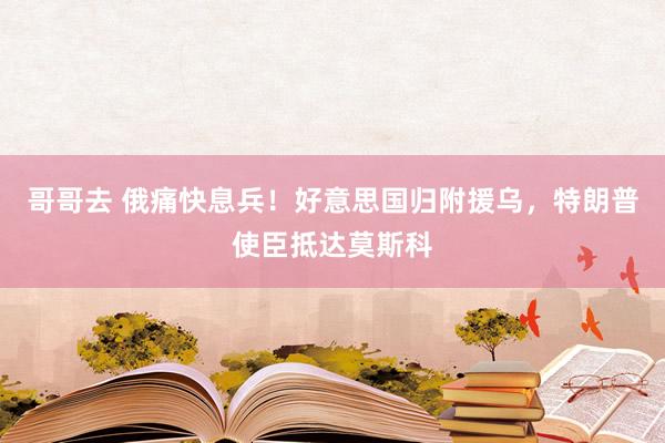 哥哥去 俄痛快息兵！好意思国归附援乌，特朗普使臣抵达莫斯科