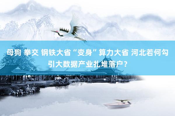 母狗 拳交 钢铁大省“变身”算力大省 河北若何勾引大数据产业扎堆落户？