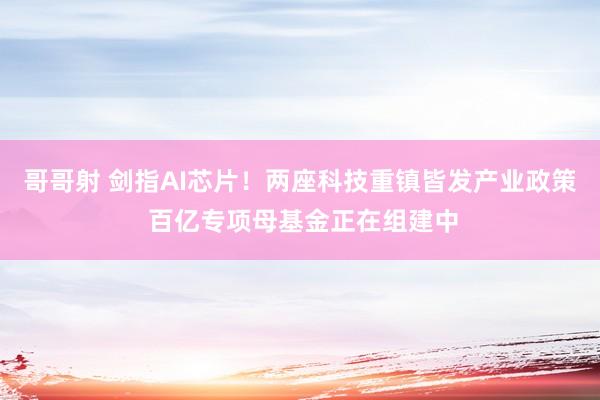 哥哥射 剑指AI芯片！两座科技重镇皆发产业政策 百亿专项母基金正在组建中