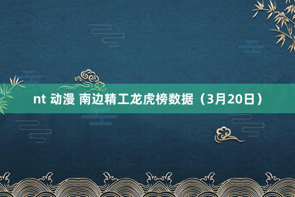 nt 动漫 南边精工龙虎榜数据（3月20日）
