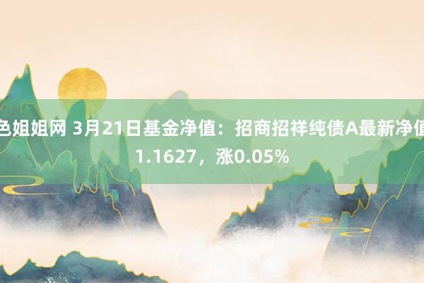 色姐姐网 3月21日基金净值：招商招祥纯债A最新净值1.1627，涨0.05%