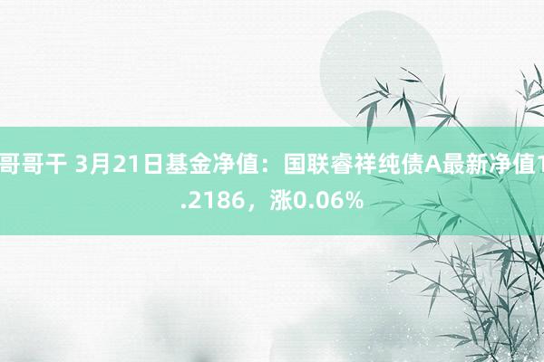 哥哥干 3月21日基金净值：国联睿祥纯债A最新净值1.2186，涨0.06%