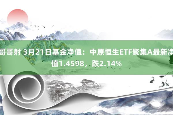 哥哥射 3月21日基金净值：中原恒生ETF聚集A最新净值1.4598，跌2.14%
