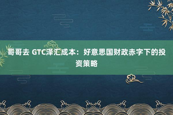 哥哥去 GTC泽汇成本：好意思国财政赤字下的投资策略